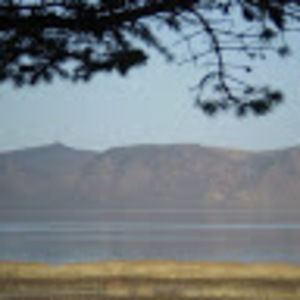 Meet your Posher, Paul